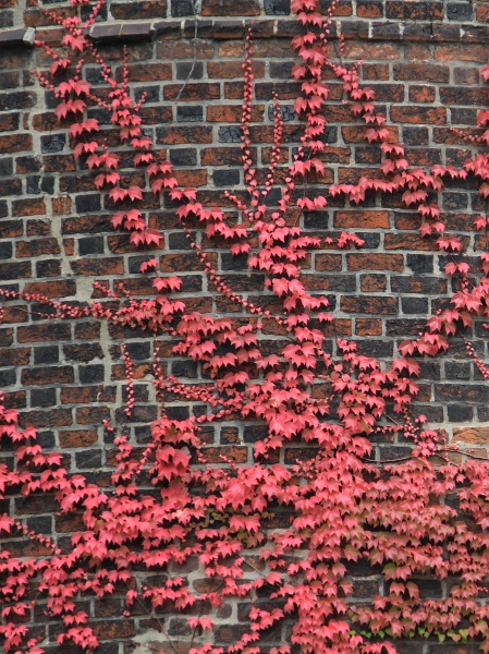 Doehrenturm   010.jpg